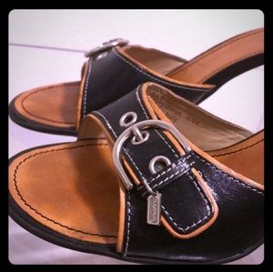 Coach Daryn Dressy Sandles